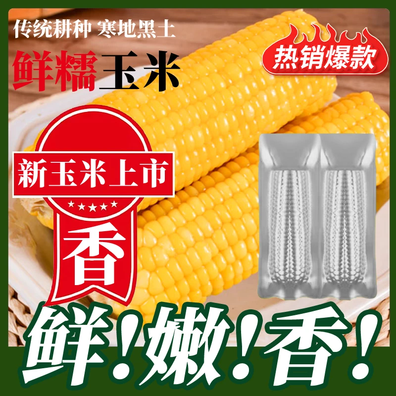 24年东北黄甜粘糯一箱12根 .两根试吃整箱7.5-8斤