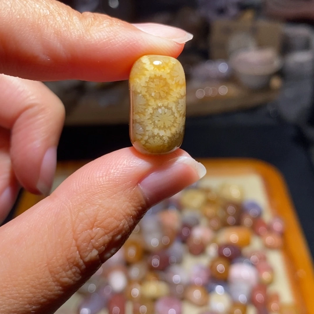【闪购商品】硅化玉珊瑚玉未镶嵌