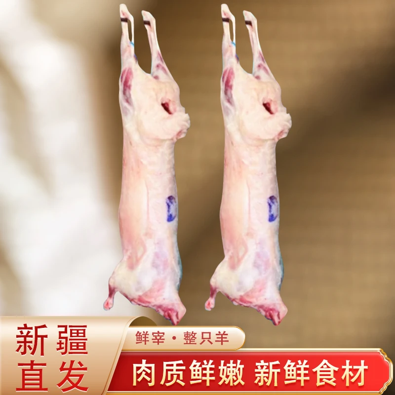 精选新疆羊肉鲜宰整羊26/28/30斤整扇40%腿排肉质鲜嫩多种吃法