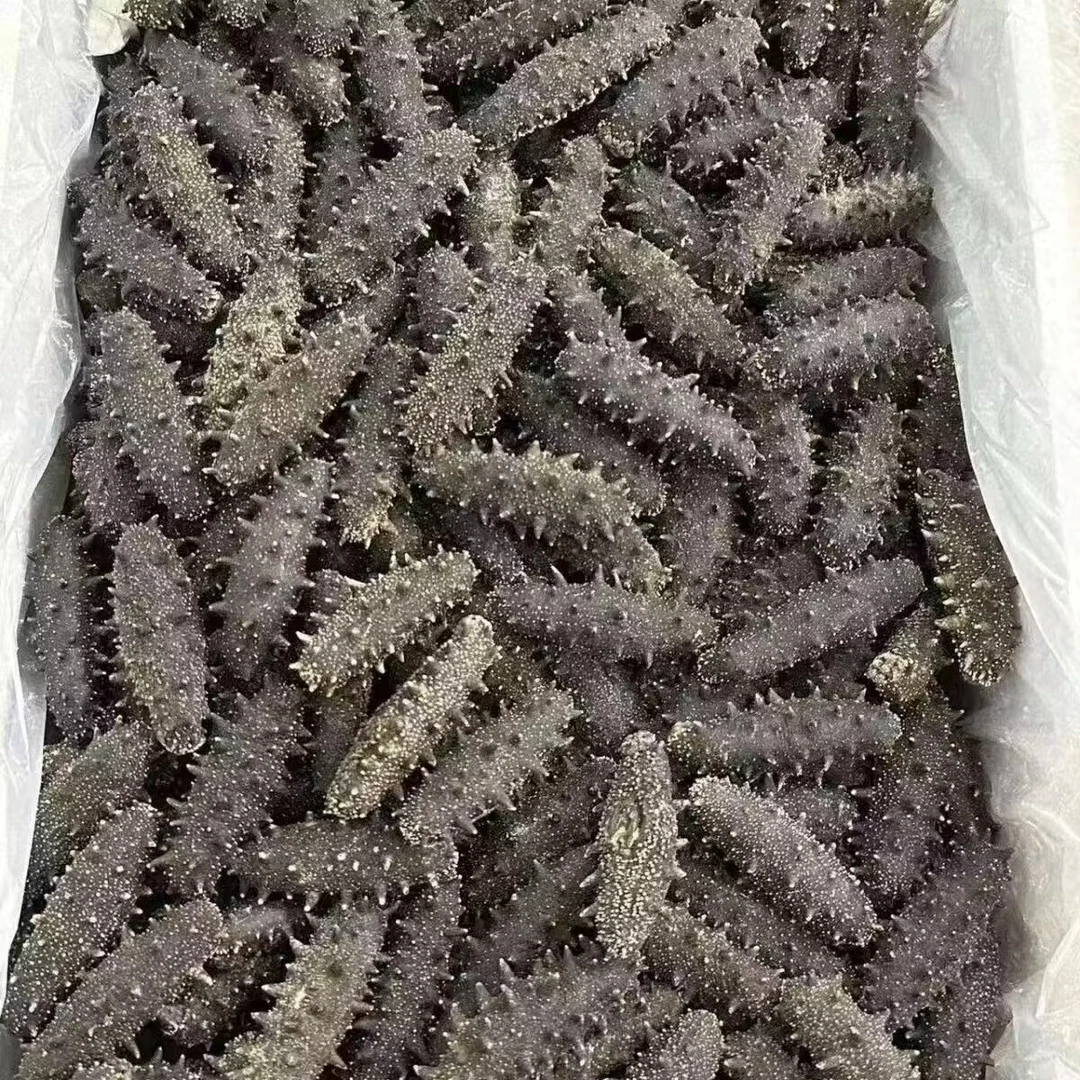 大连海参正宗淡干辽参正品辽参刺参工厂批发非即食海参