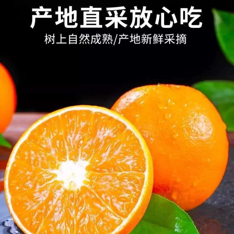 九省包邮10斤装正宗赣南脐橙果园直发应季鲜果现摘现发香甜多汁