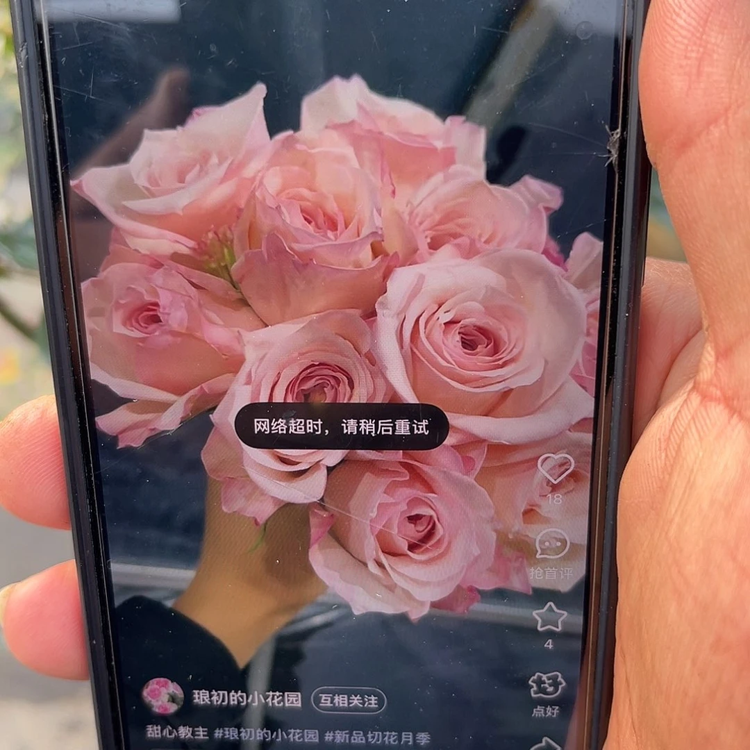 无花朵——-甜心教主 福利款