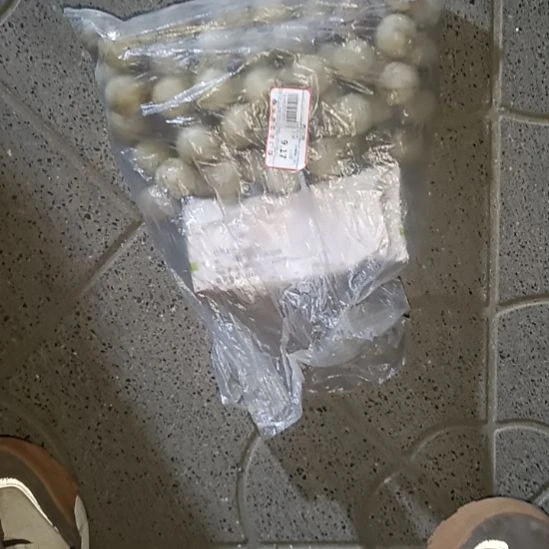 红***松药丸8888888888888