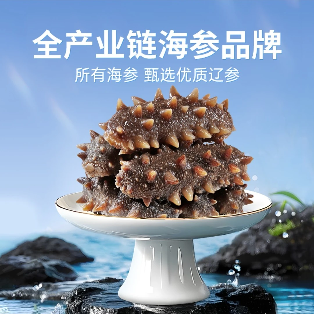 大连海参 无明矾无碱