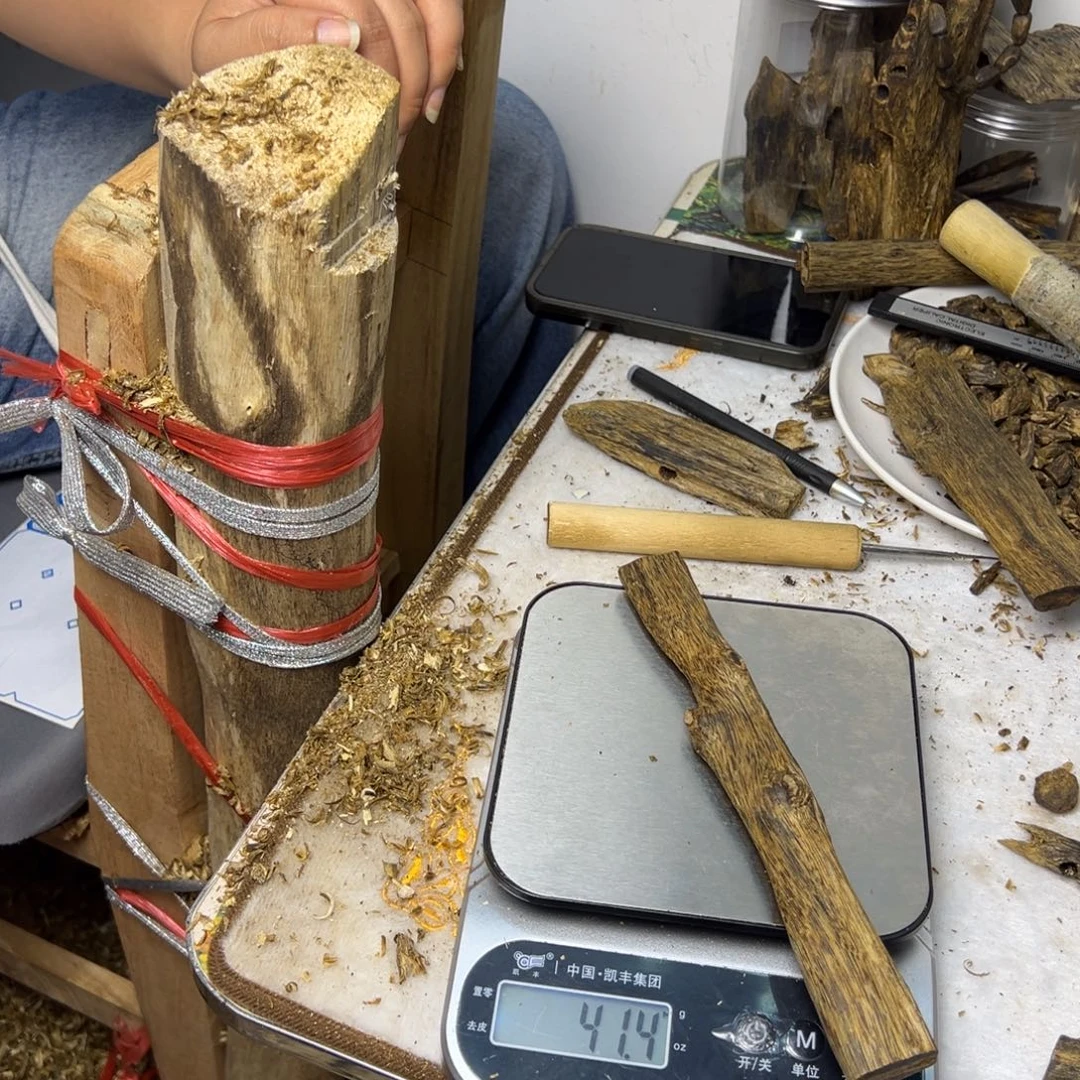 线香奇楠虫漏香41克