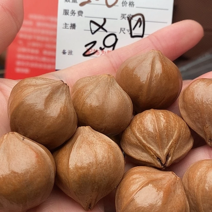手串/手链橄榄核天****人
