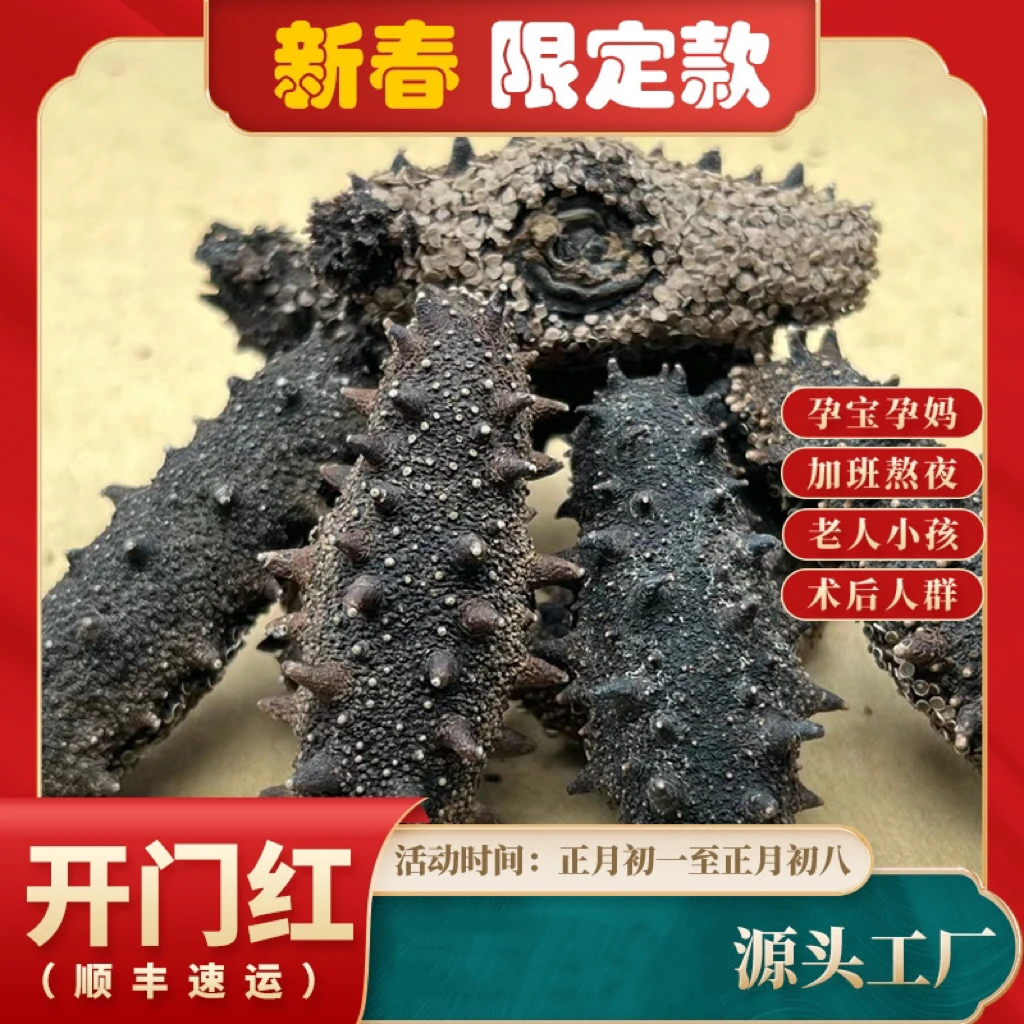 【国标开门红】纯淡干海参100-140头/斤高泡发率