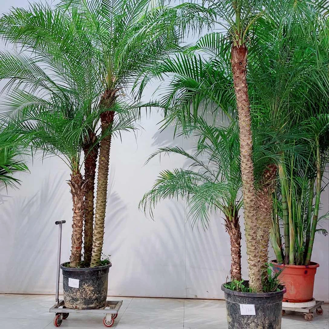 李*之2346889000000000