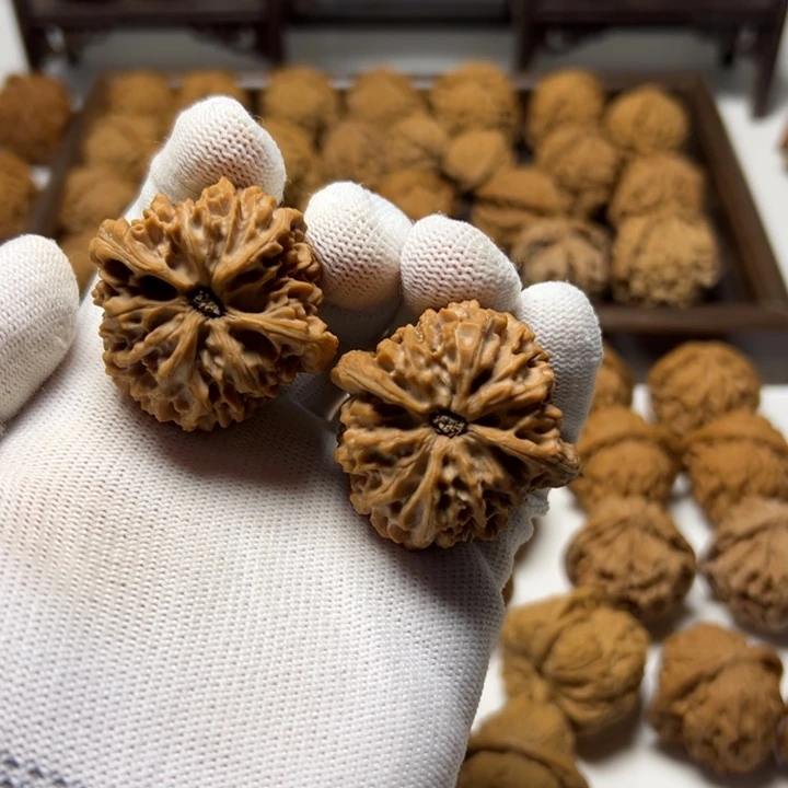 風***焱核桃全品无药龙门涧