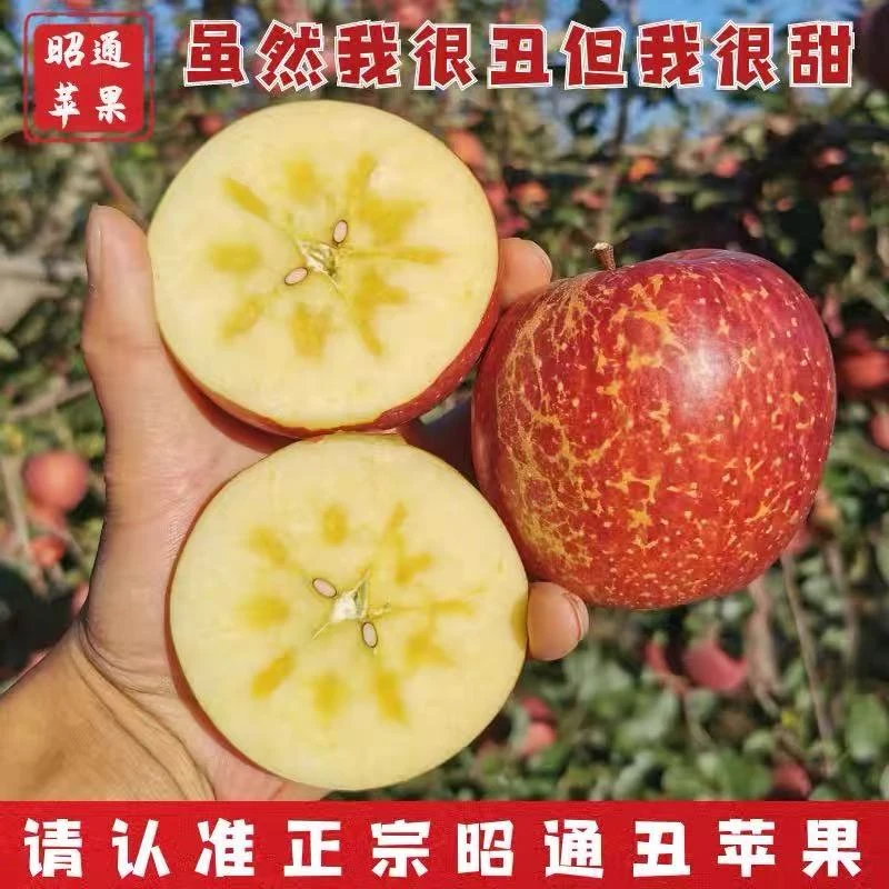 【达人专属】正宗云南昭通冰糖心丑苹果新鲜采摘脆甜多汁