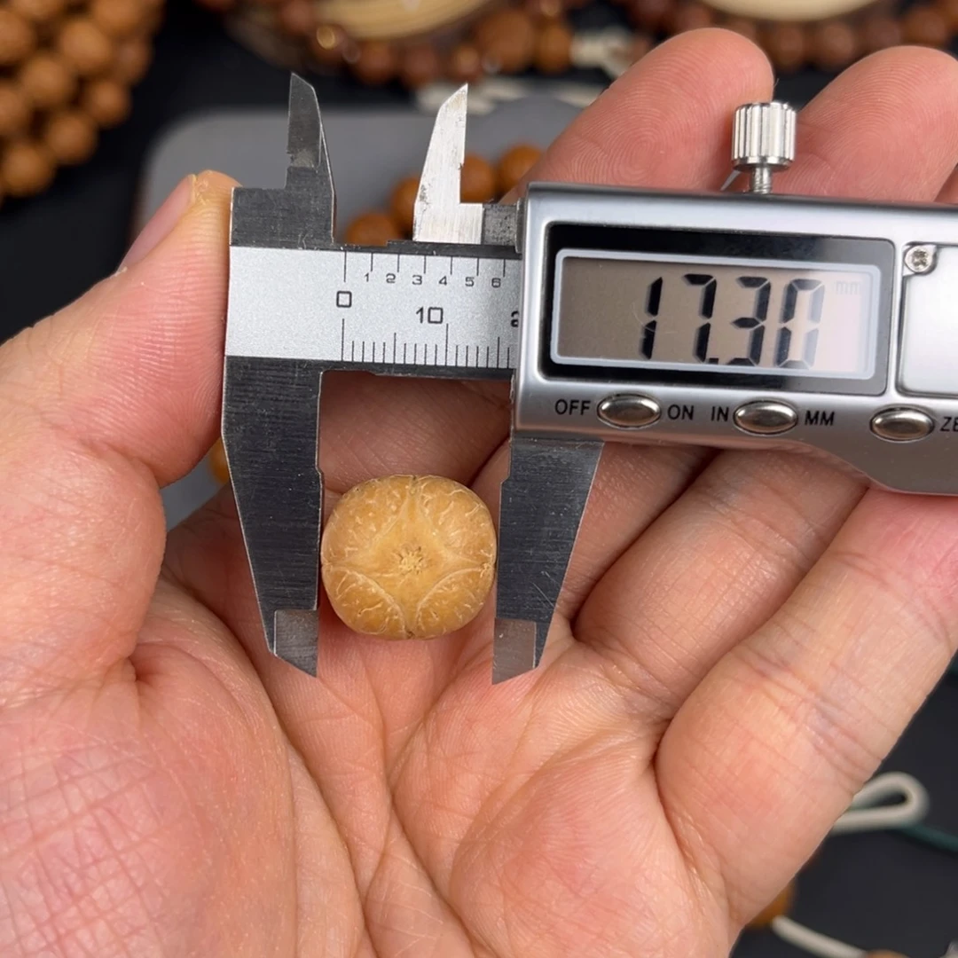 凤眼菩提手串17.3玉华十字麒麟