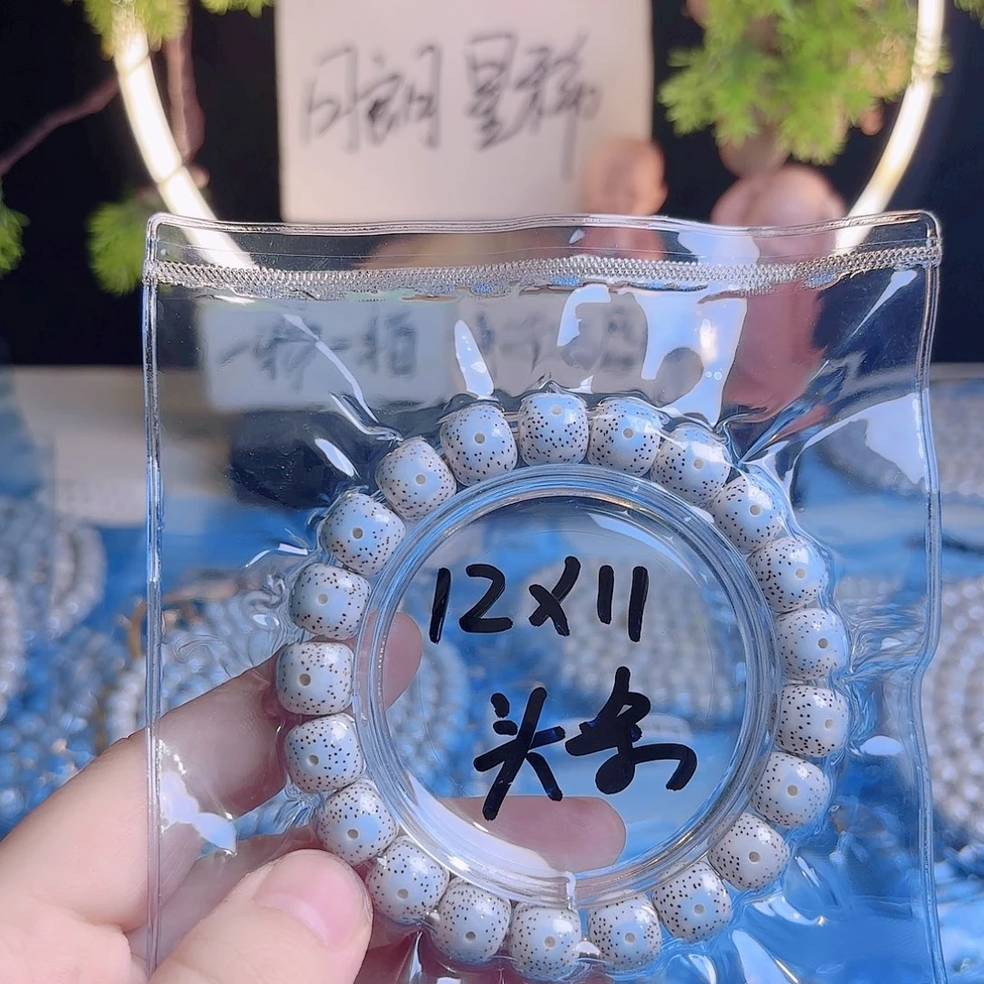 海***师吊坠菩提根/象牙果