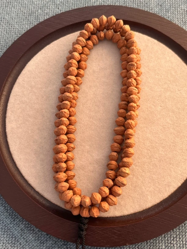 热振百香籽红芽口原装横打