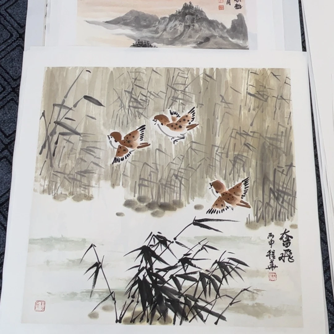 国画四尺斗方花鸟m