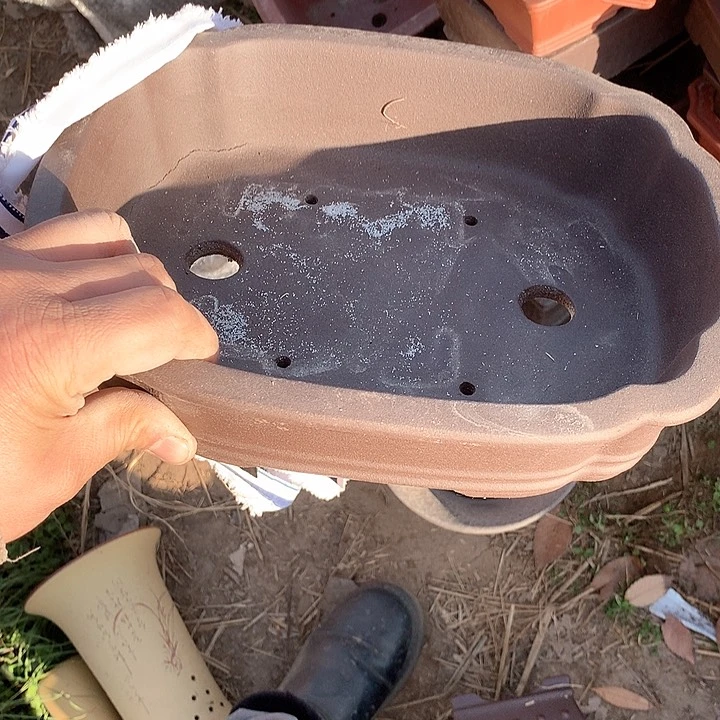 紫砂硫*岛优秀青年科技创新科技