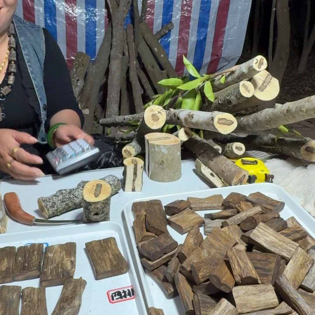 贾***才线香奇楠沉香原木