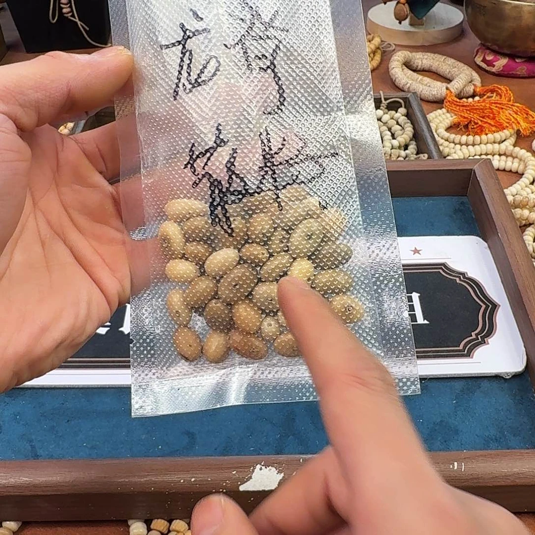 手串菩提根/象牙果龙脊菩提散籽抛光打孔（35颗）