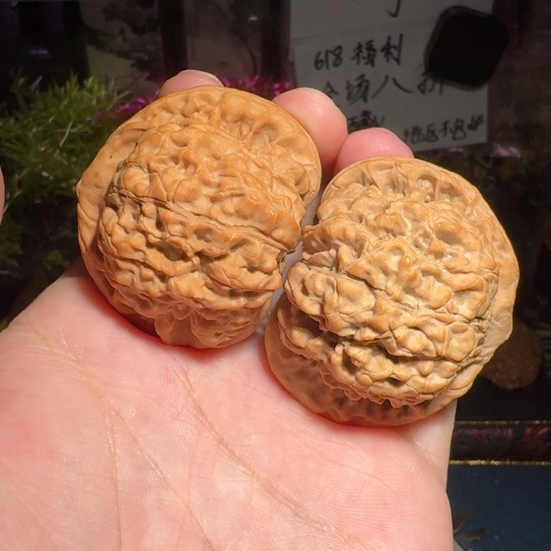 042号48麒麟纹官帽福利对