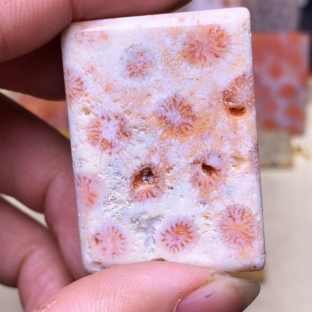 硅化玉珠宝奇石合金丽*