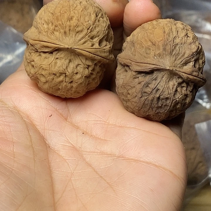 文玩核桃把件云南铁核桃90