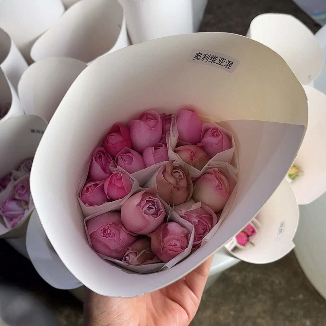 完全开放醒目（奥利维亚混色）一扎