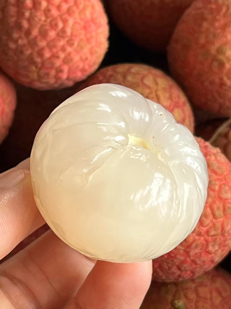 【京东冷链发货】自家果园广东老树白糖罂荔枝现摘现发新鲜当季水果