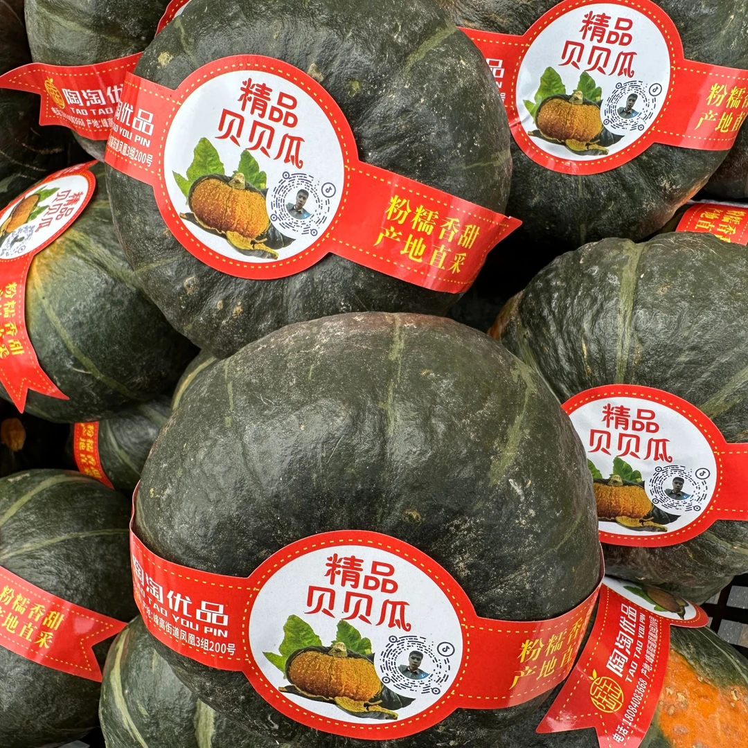 【助农增收】峰高陶淘优品贝贝南瓜