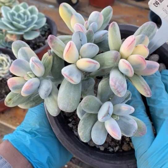 875一一一一一一一一一