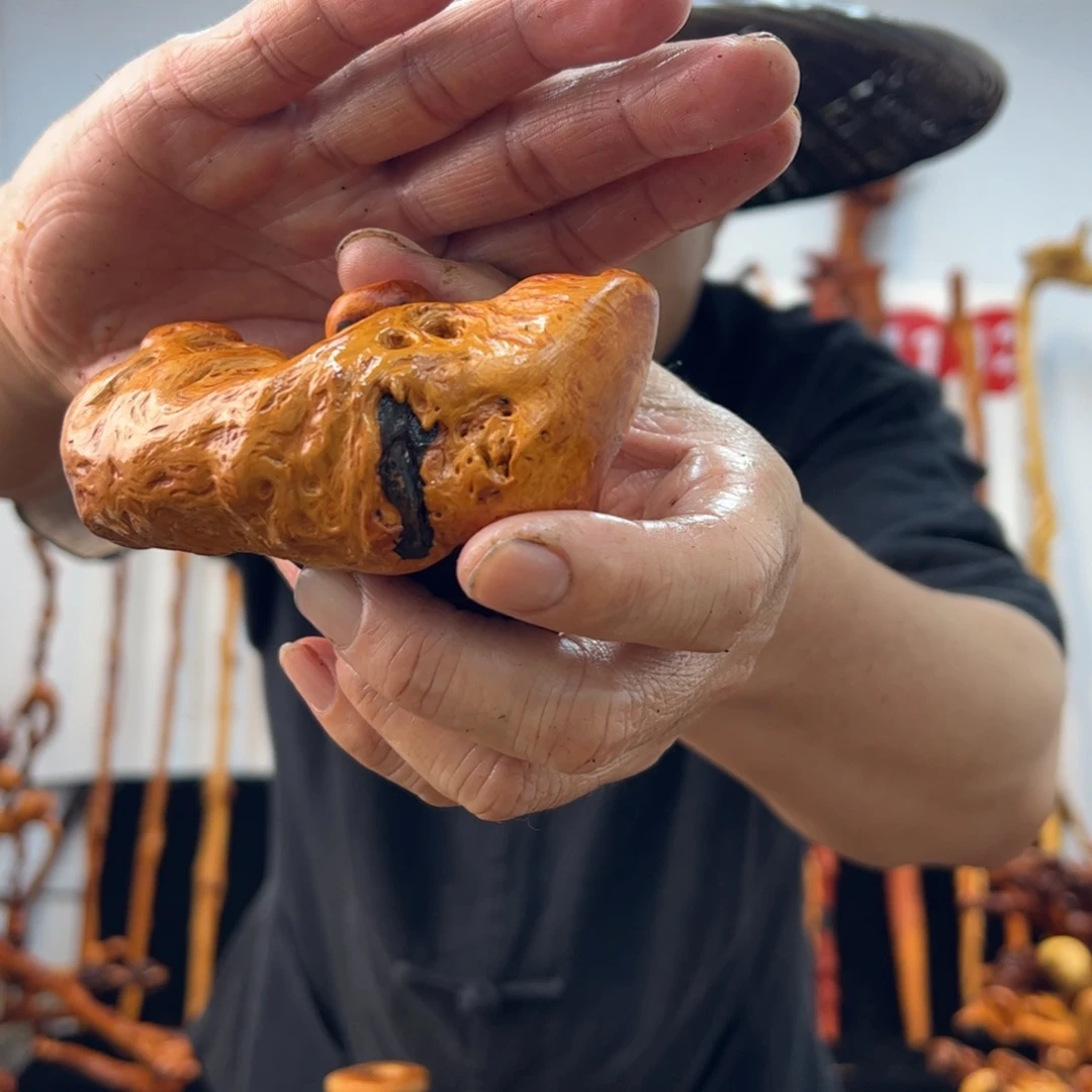 黑果木其他黑果木530