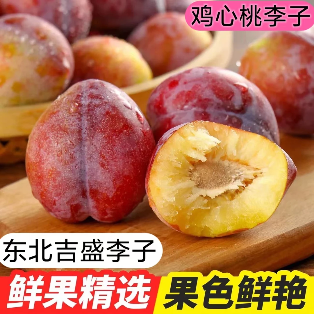 【保甜到家】吉盛东北李子新鲜甜脆脱骨干碗紫桃李子鸡心形干核新鲜