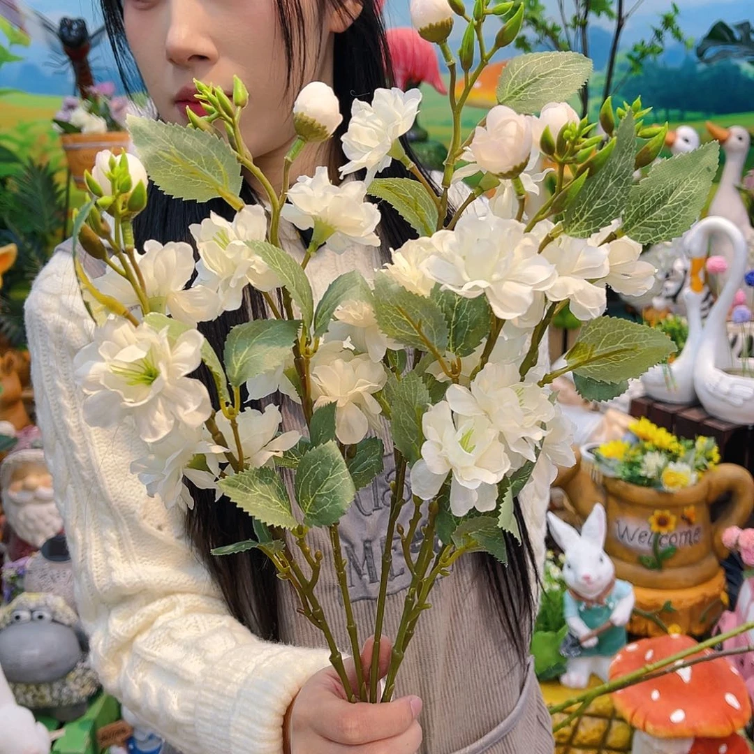 【闪购商品】红陶