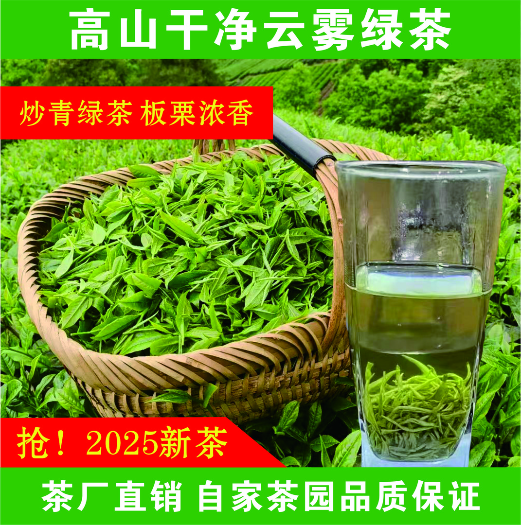 （买半斤送半斤)2025贵州高山云雾绿茶湄潭特产毛尖