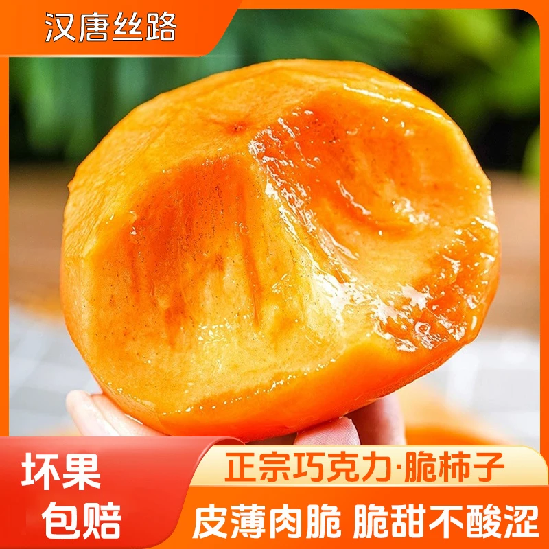 正宗阳丰脆柿巧克力脆柿子新鲜水果脆皮冰糖心硬甜柿子 产地直发