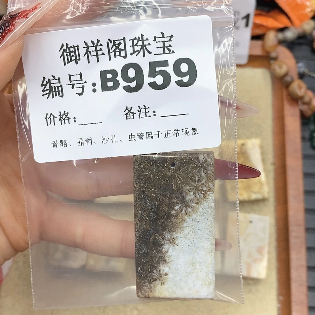 硅化珊瑚（珊瑚玉）颈饰未镶嵌蘑*