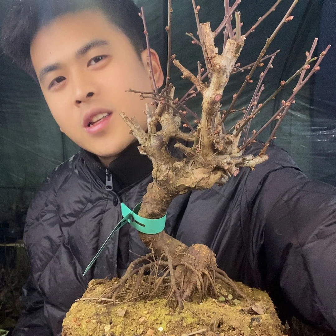 完全开放11111111