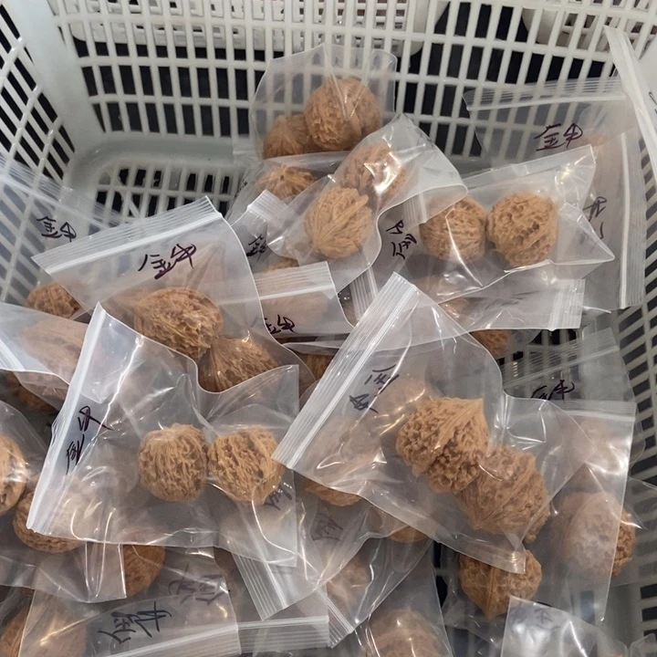 吊坠文玩核桃金牛瑕疵