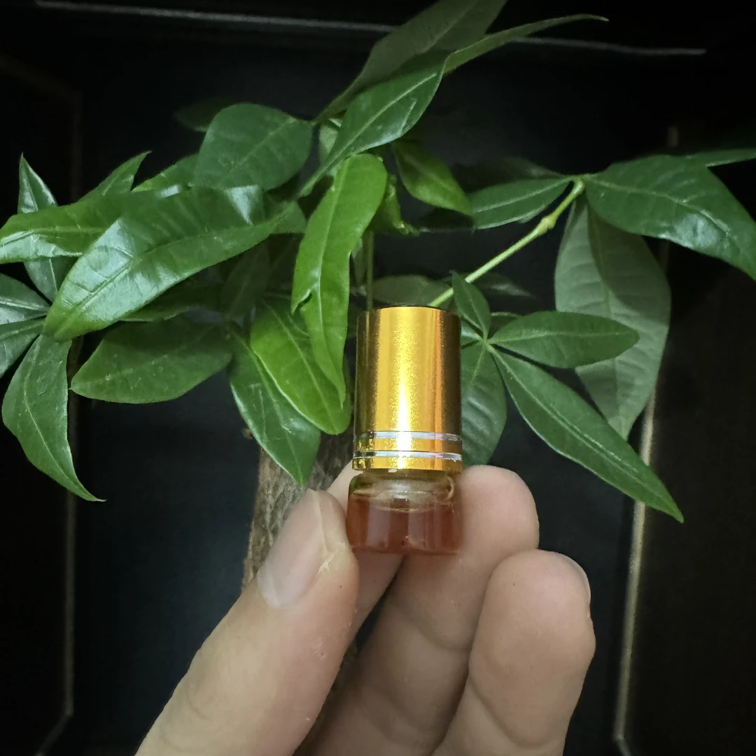 1克装淳化3年绿棋楠沉香精油花香蜜香