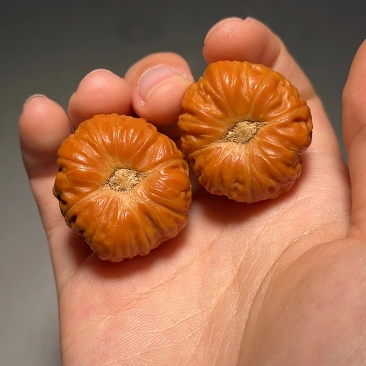 文玩核桃把件窝窝头1490