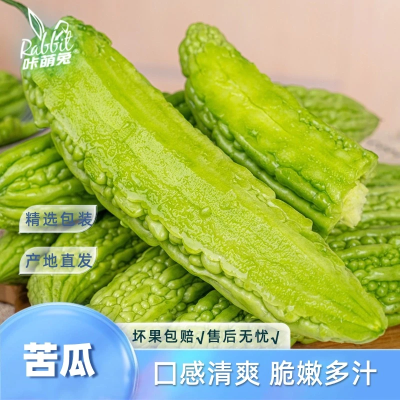 【咔萌兔】潍坊苦瓜3斤/4.5斤口感清爽新鲜水果脆嫩多汁现摘现发