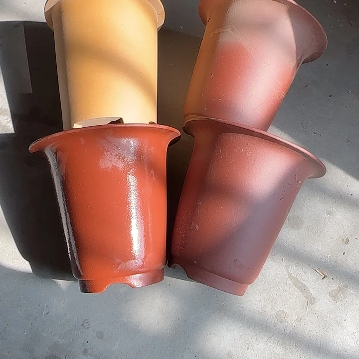 无***过最后四只专拍