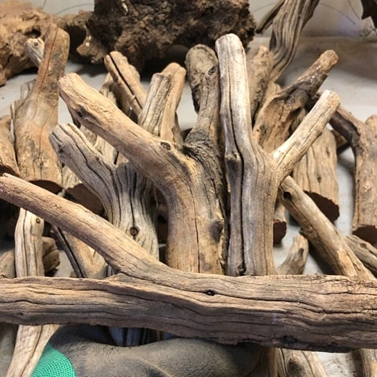 大果紫檀（缅甸花梨）曾***诺