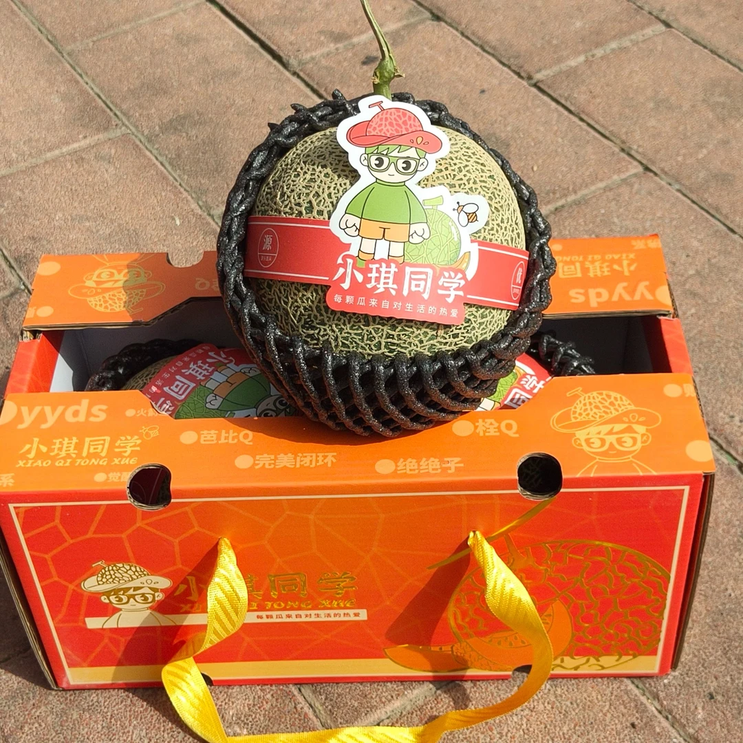 【鲜果速送】小琪同学网纹瓜一个2斤左右