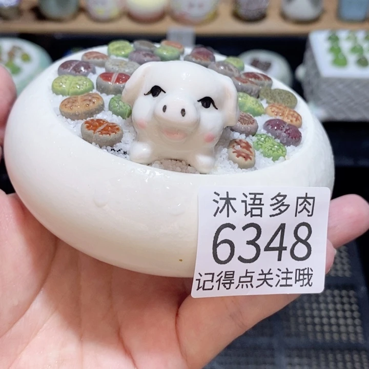 带盆土发货 精美盆栽 6348