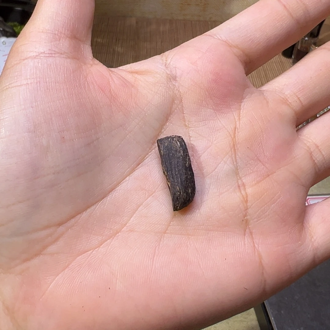 香榧木海南木料大山沉水糖结黑棋0.5克