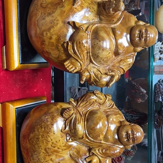 香杉木大*缅甸杉木瘤弥乐