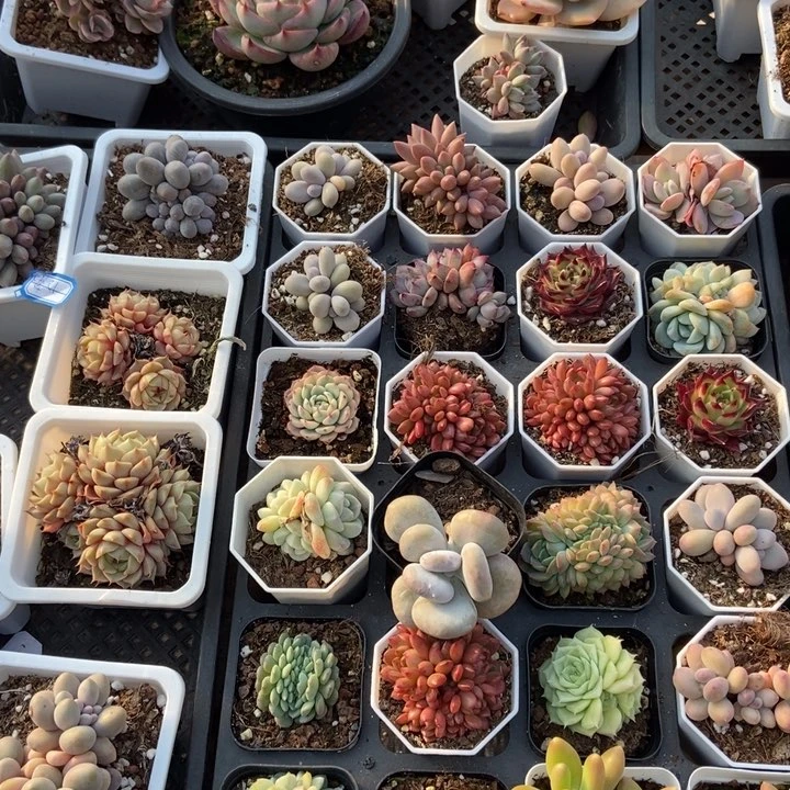 保温箱，低于零度去拍