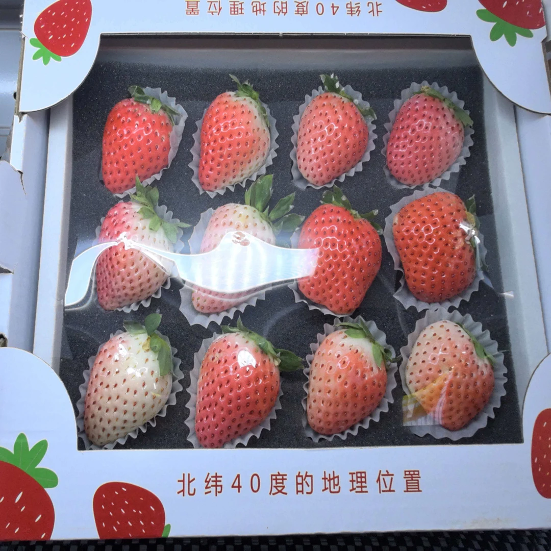 草莓中的“香奈儿”粉玉草莓 粉草莓