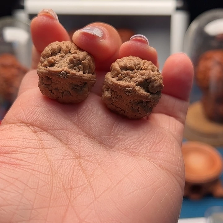 把件文玩核桃金鱼 全品老果