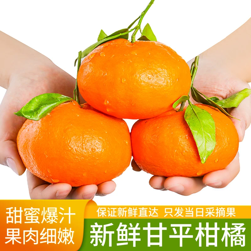 【小天天专属】正宗四川甘平柑橘高端水果现摘当季新鲜水果整箱5斤