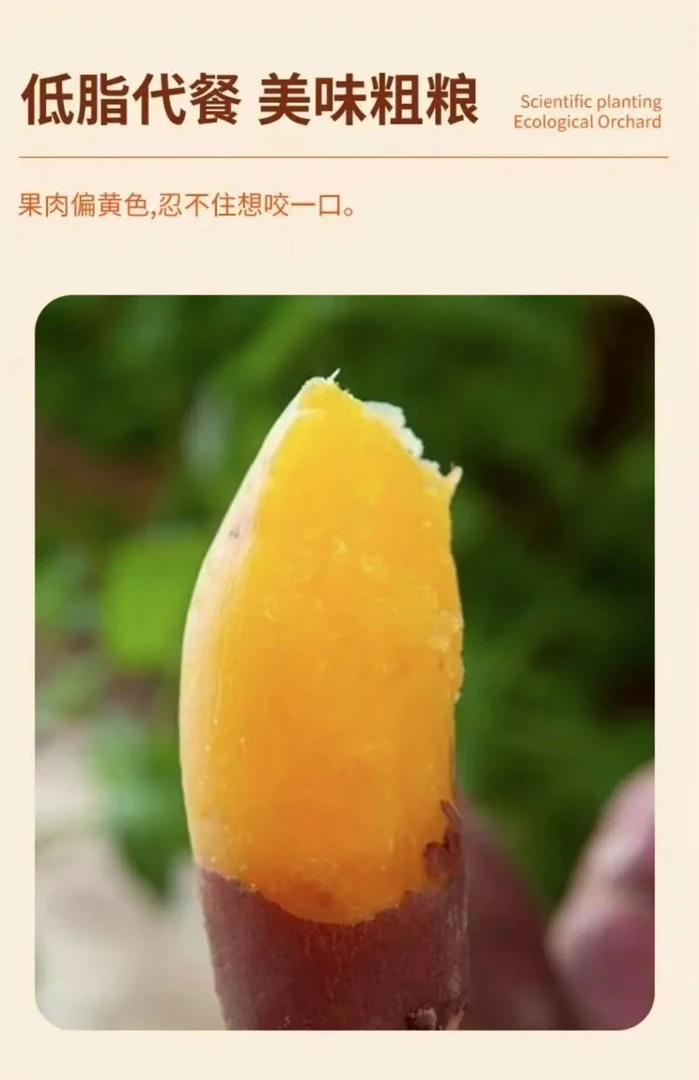 新鲜现挖正宗黄心板栗红薯软糯香甜的地瓜番薯烤红薯干面甜代餐